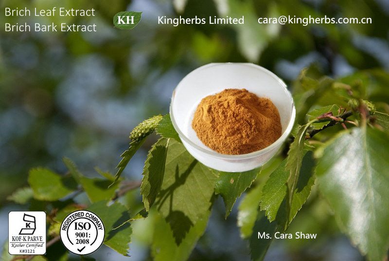 Birch Leaf Extract