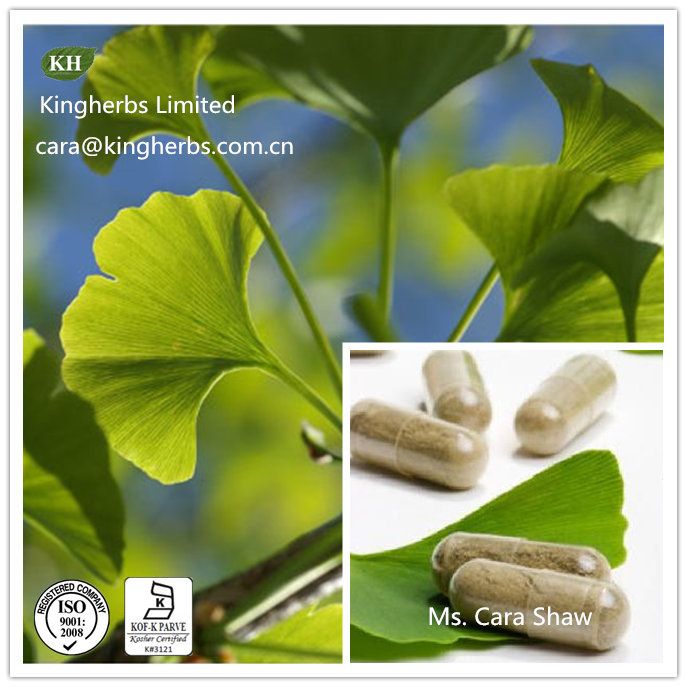 Kingherbs offer China Ginkgo Biloba Leaf Extract