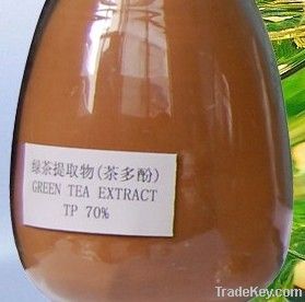 tea polyphenol 70, green tea extract