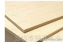 Construction Plywood