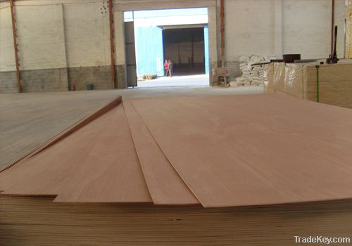 Bingtangor Plywood