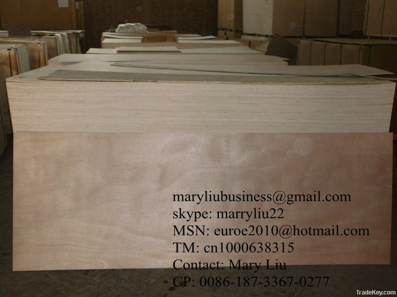 Cheap poplar core bintangor/okoume face door size plywood factory