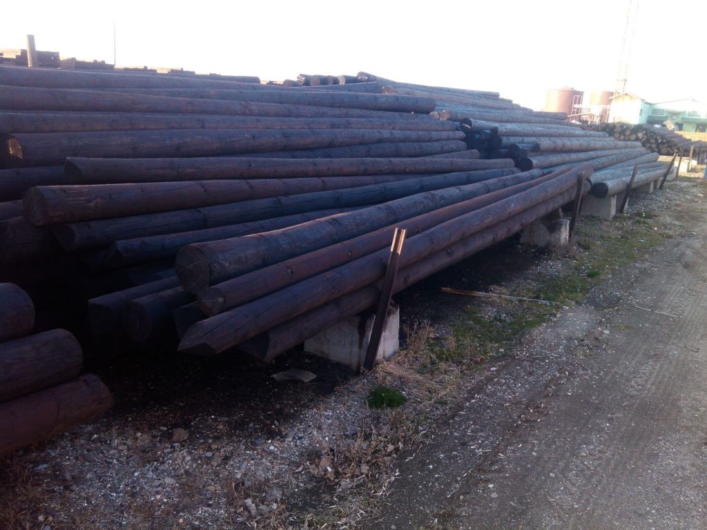 Power and Telecommunication Wooden Poles
