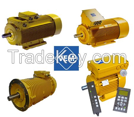 VEM Germany make Low Voltage &amp; High Voltage Motors