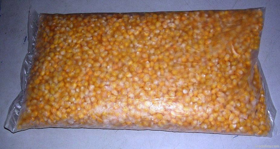 Hybrid Maize & Corn (Seeds I Grain I Kernal)
