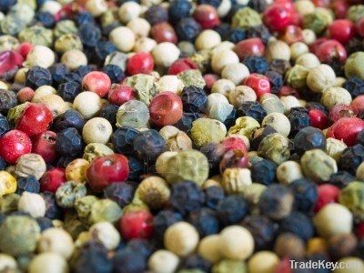 Black Pepper | White Pepper | Red Pepper | Green Pepper