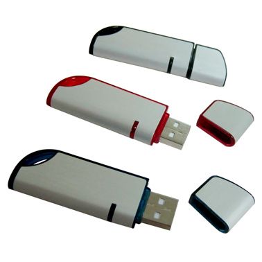 Customized Plastic USB Drive