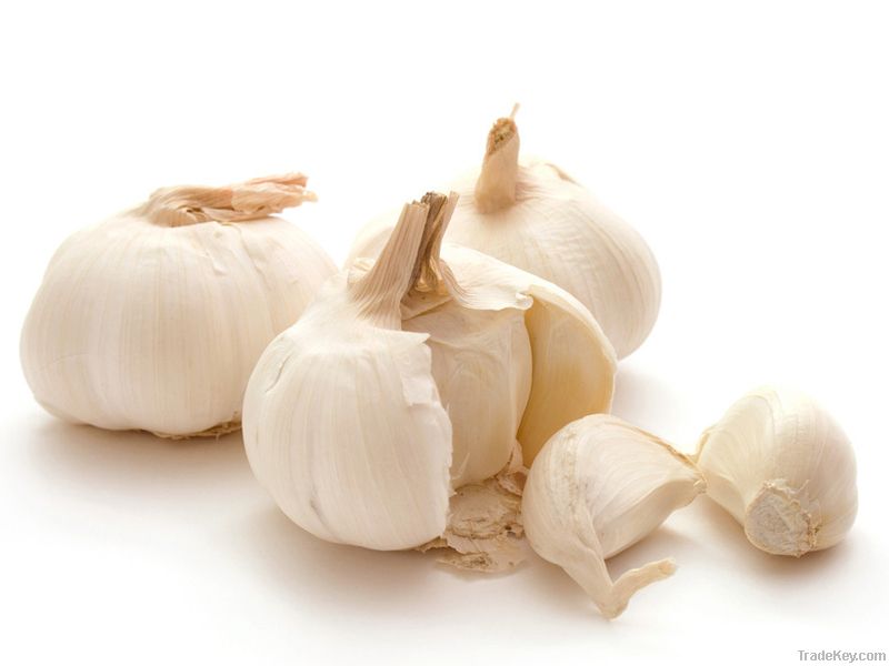 Fresh garlic