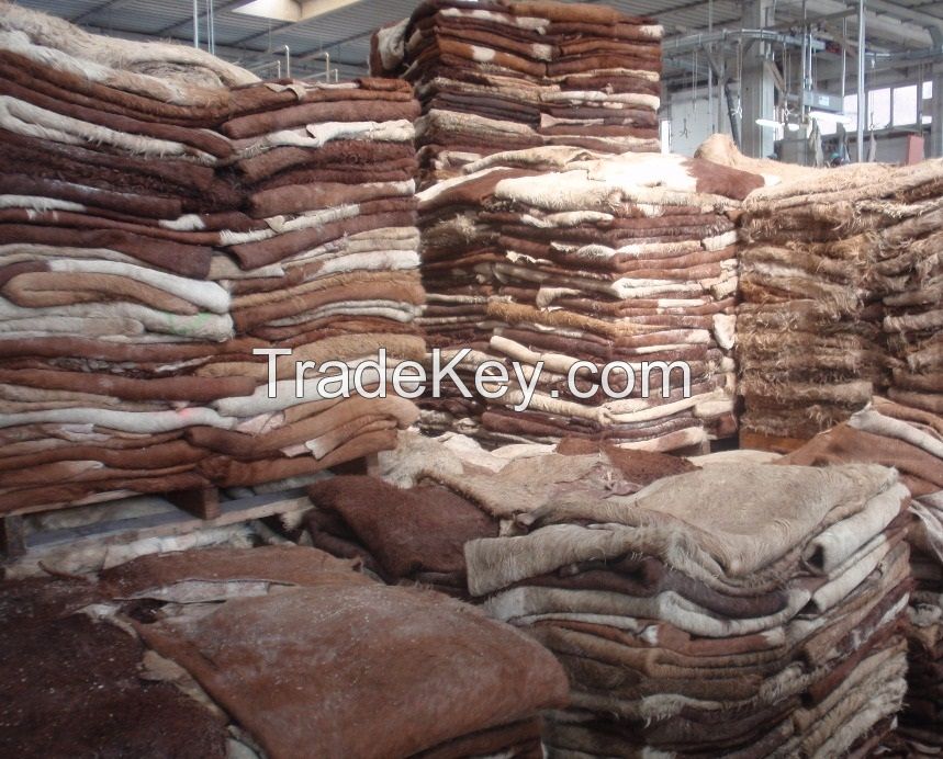 Wet Salted & Dry Salted Donkey Hides and Cow Hides, cattle Hides, animal skin, Goats, Horses