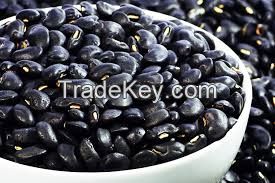 White kidney beans