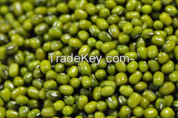 Green Mung beans