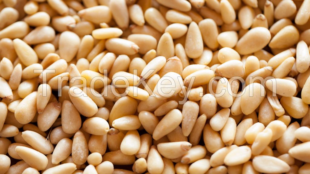 CashewNuts, Almond Nuts, PineNuts, Walnus, Pistachios nuts, Peanuts, And others