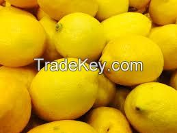 Fresh Citrus fruits, Lemon, Oranges,Lime, Pineapples, peaches, Pears, Apples, and others