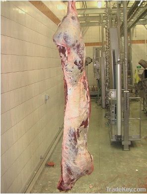 HALAL BEEF CARCASS