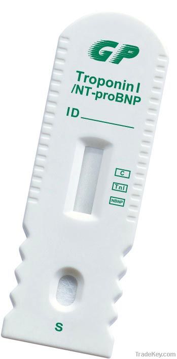 One step test for NT-proBNP/cTnI