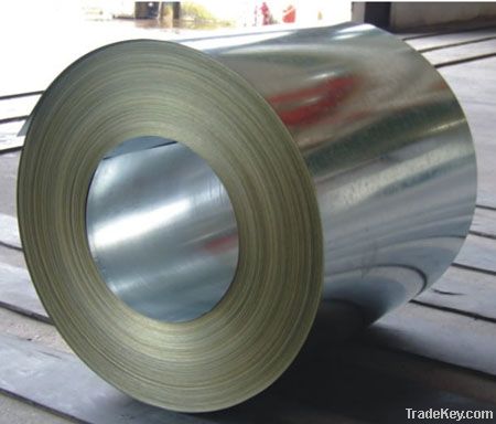 Galvanized Steel Sheet in Coil (GI)