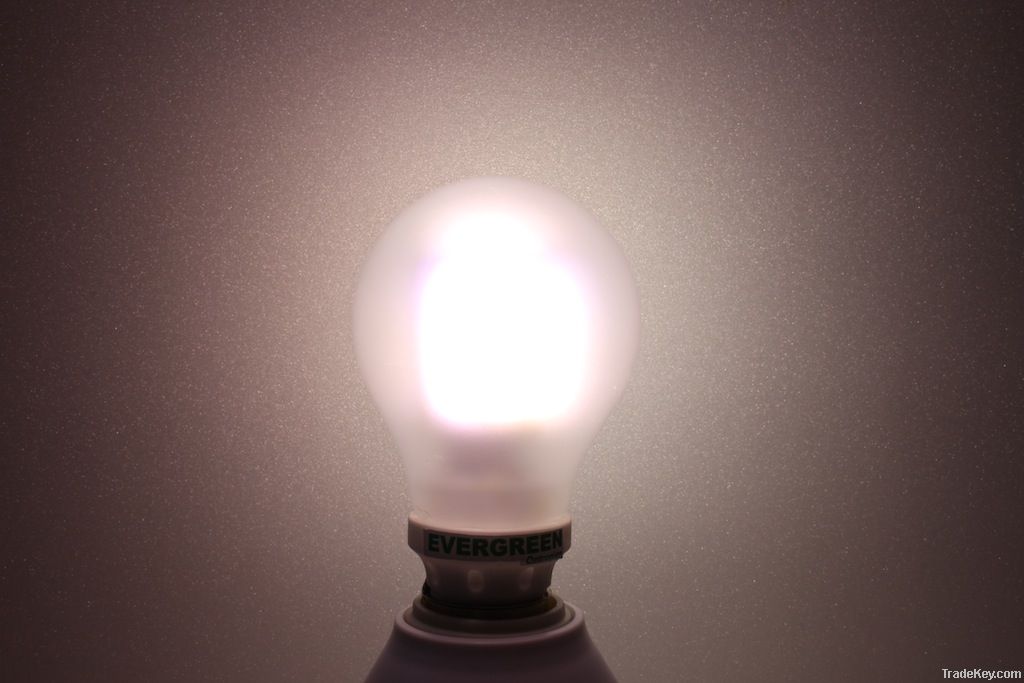 LED A19 Light Bulb