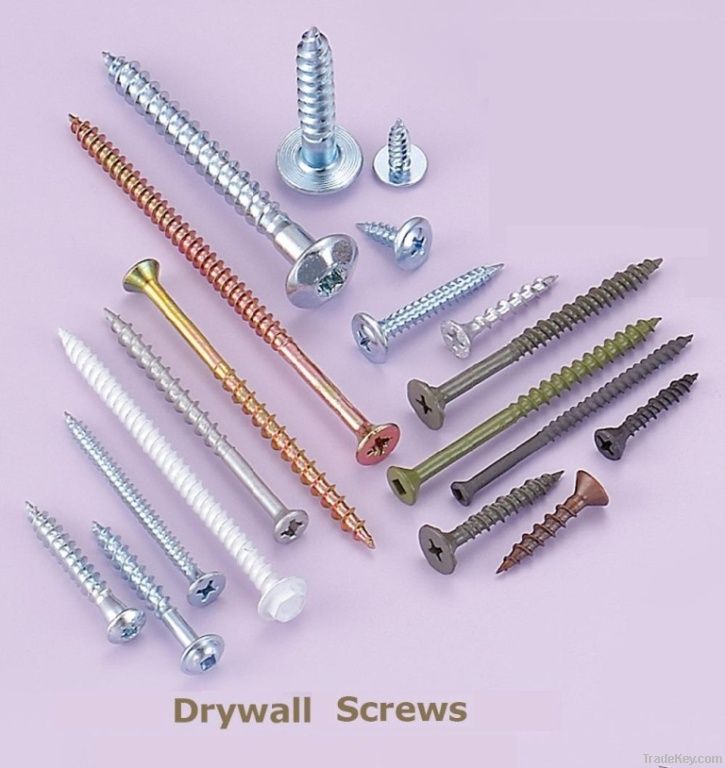 Drywall Screw