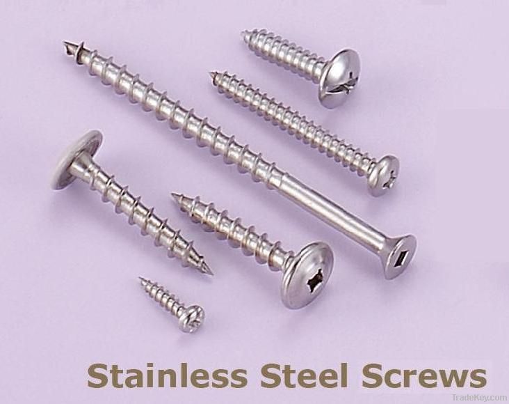 Stainless Steel Screw