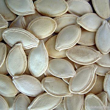 Shine Skin Pumpkin Seeds New Crops