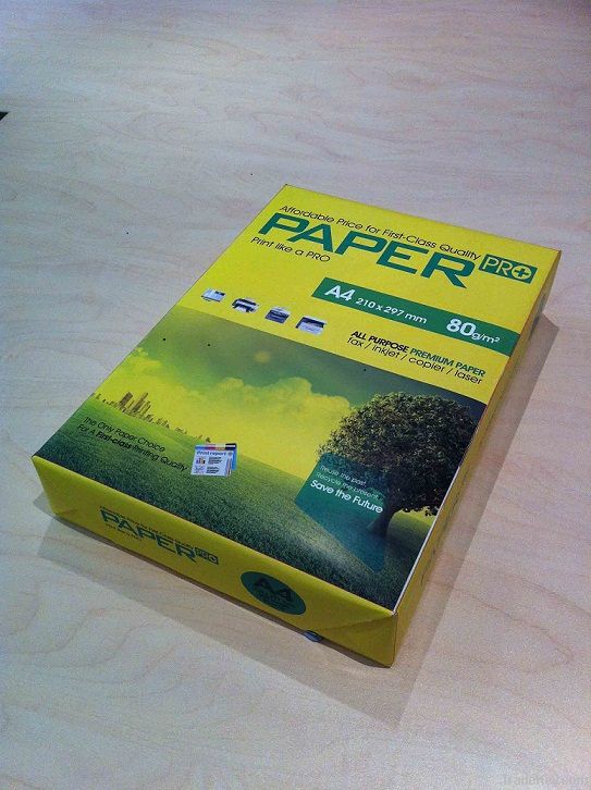 Paper Pro