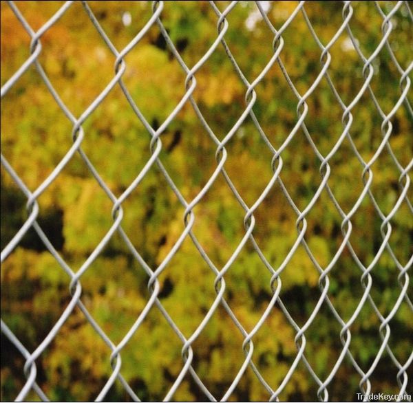 PVC or Electro Galvanized  chain link fence