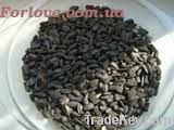 New Crop Sunflower Seeds Suppliers | Sunflower Seed Exporters, | Sunflower Black Seed  | Striped Black Seed | Flowers Seed | Sunflower Kernels