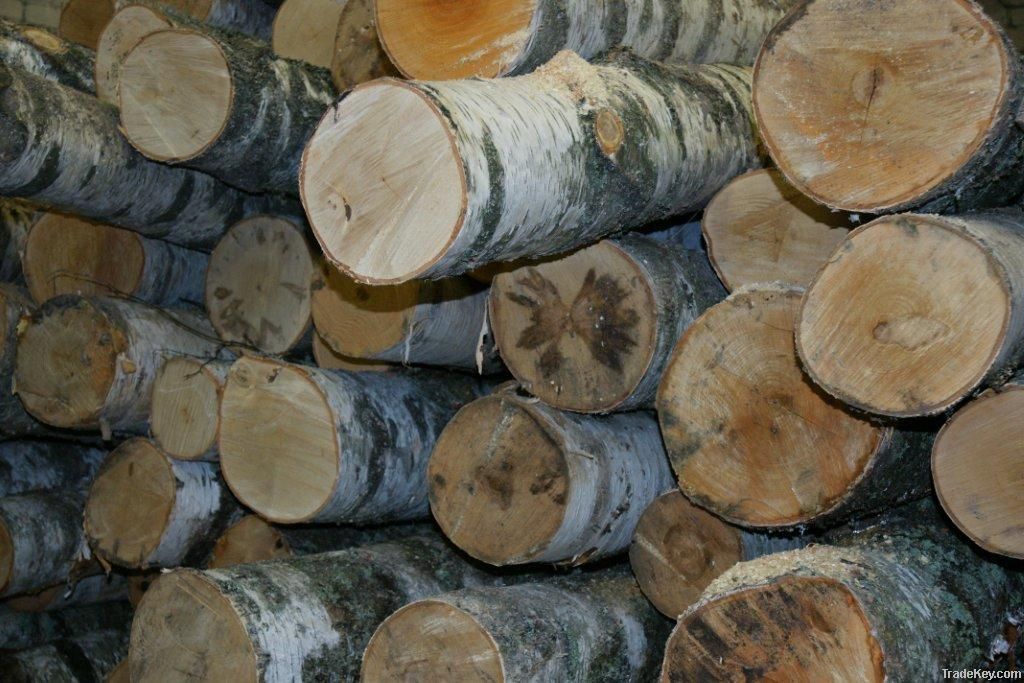 Birch Firewood