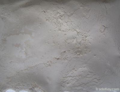 dehydrated garlice powder