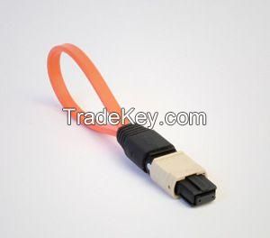 MPO/MTP patch cord