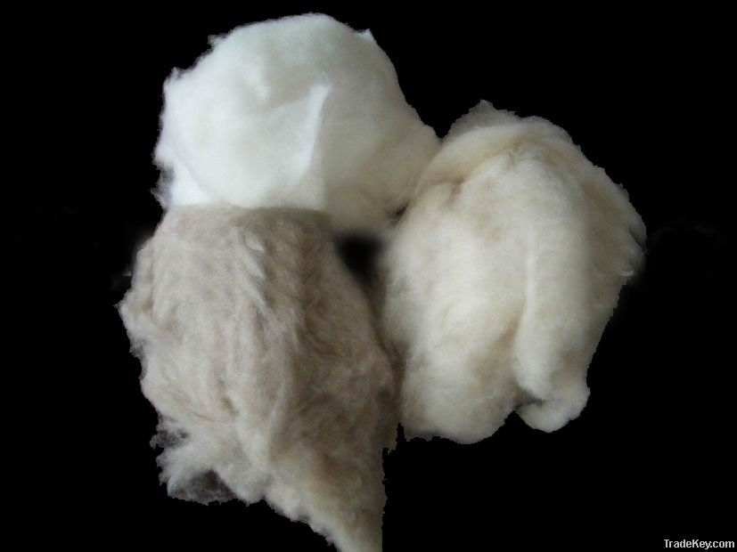 Pure dehaired cashmere fibre for spnning use