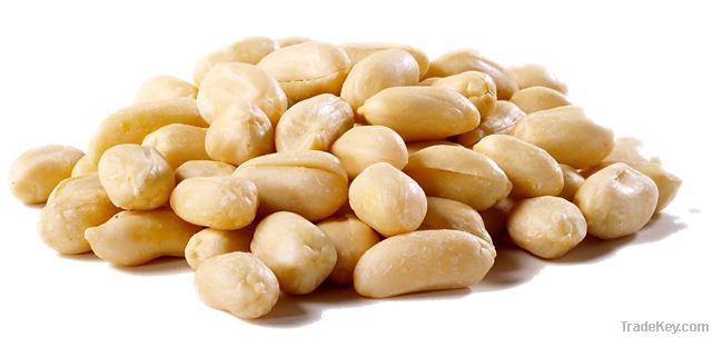 Roasted Blanched Peanuts