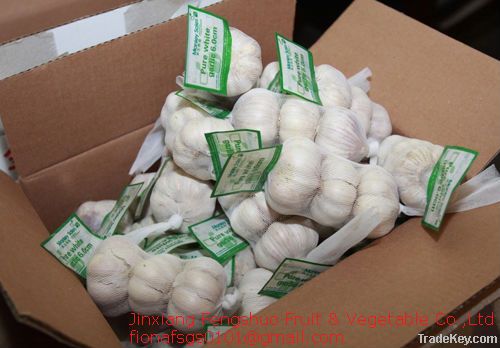 fresh net bag  garlic