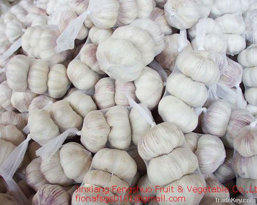 normal white garlic in 20kg mesh bag packing