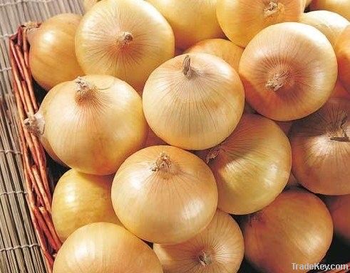 onion (red onion, yellow onion)