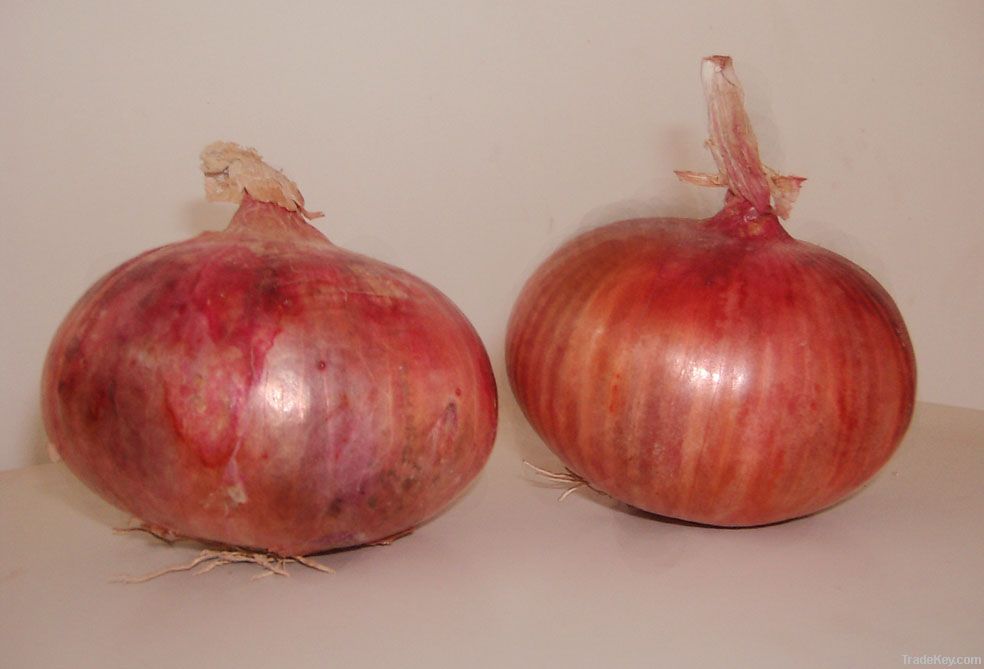 onion (red onion, yellow onion)