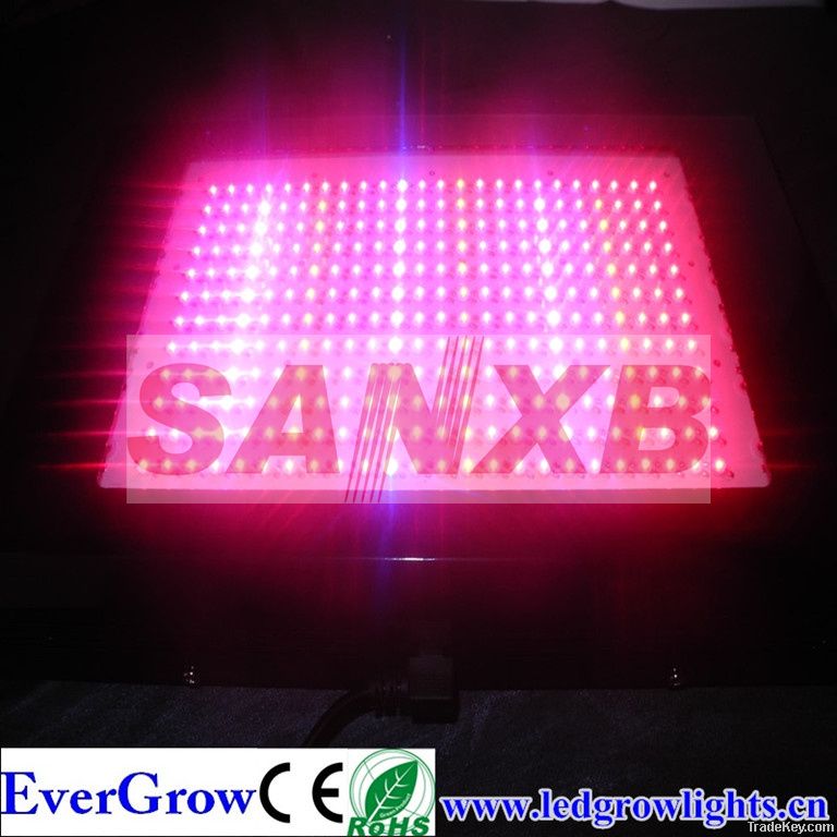 LED Grow Light 600W (288*2w)