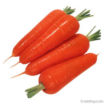 australian carrots importers,australian carrots buyers,australian carrots importer,australian buy carrots,