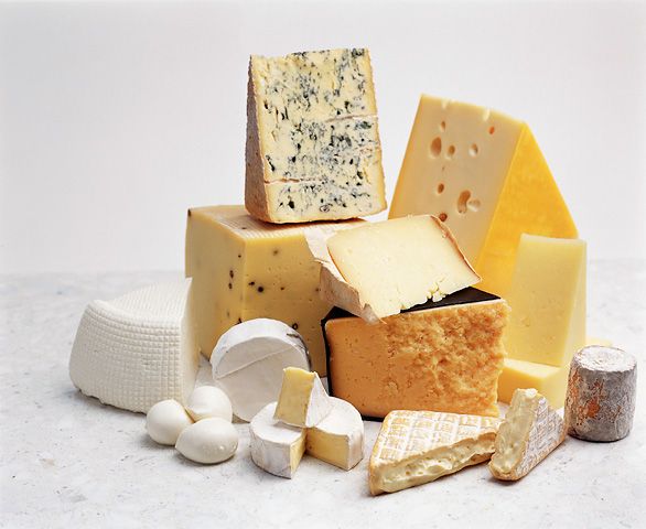 cheese suppliers,cheese exporters,cheese manufacturers,cheese traders,cheese australian,best 