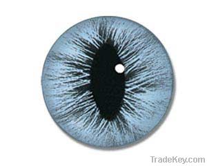 Custom Made to Order Sterling Silver Taxidermist Glass Eye Ring