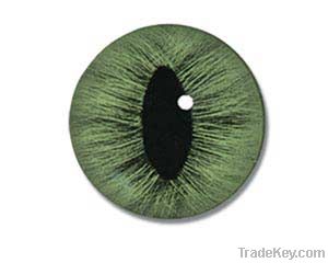 Custom Made to Order Sterling Silver Taxidermist Glass Eye Ring