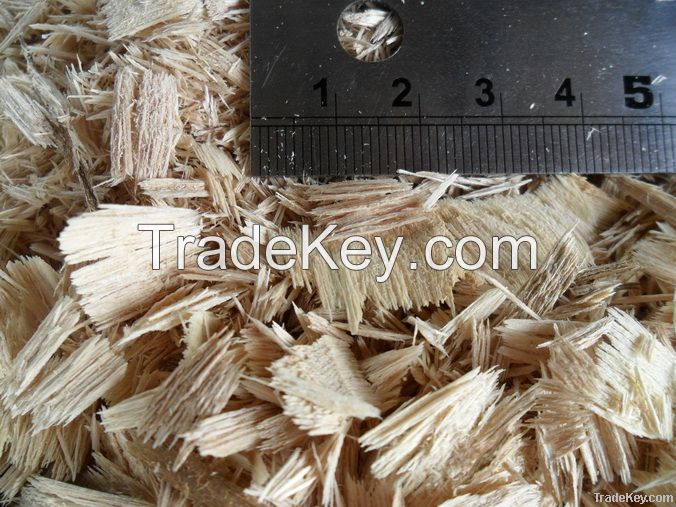 Wood Shavings Eucalyptus Camaldulensis