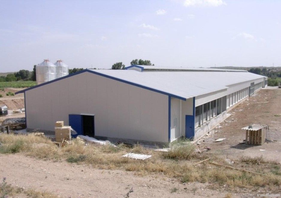 Heat insulated steel chicken house from China