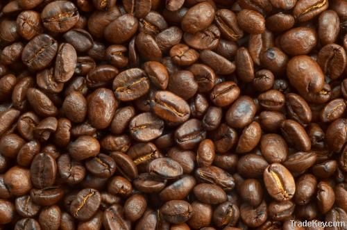  Export Arabica Coffee Beans | Arabica Coffee Bean Importer | Arabica Coffee Beans Buyer | Buy Arabica Coffee Beans | Arabica Coffee Bean Wholesaler | Arabica Coffee Bean Manufacturer | Best Arabica Coffee Bean Exporter | Low Price Arabica Coffee Beans | 