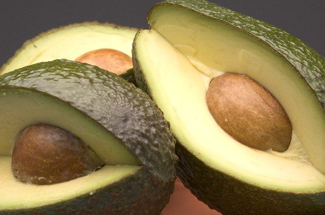 Fuerte Avocado/ Hass avocado