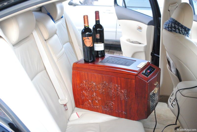 18L thermoelectric portable car cooler