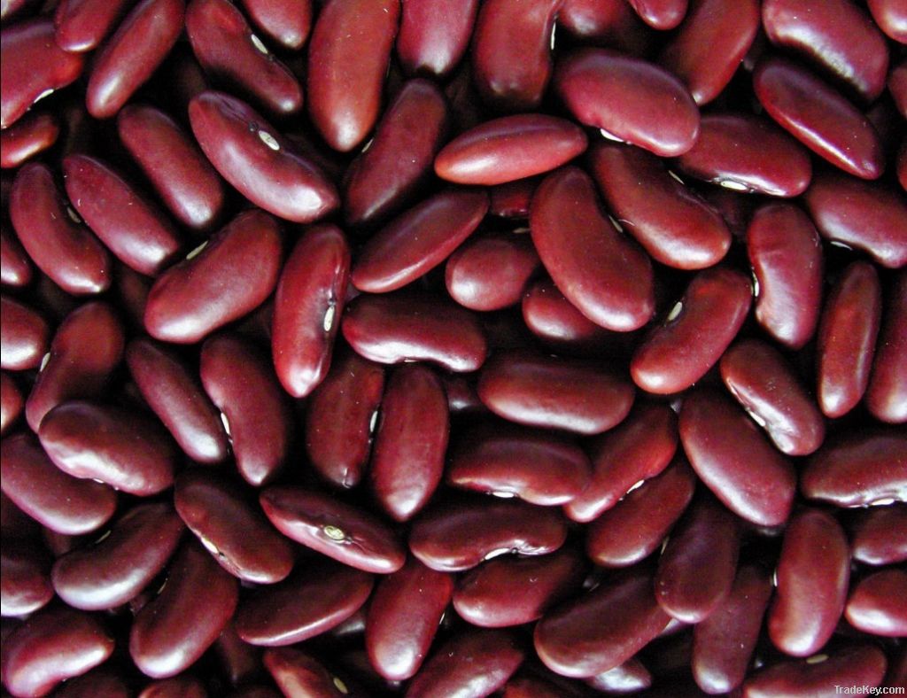 Dark Red Kidney Beans