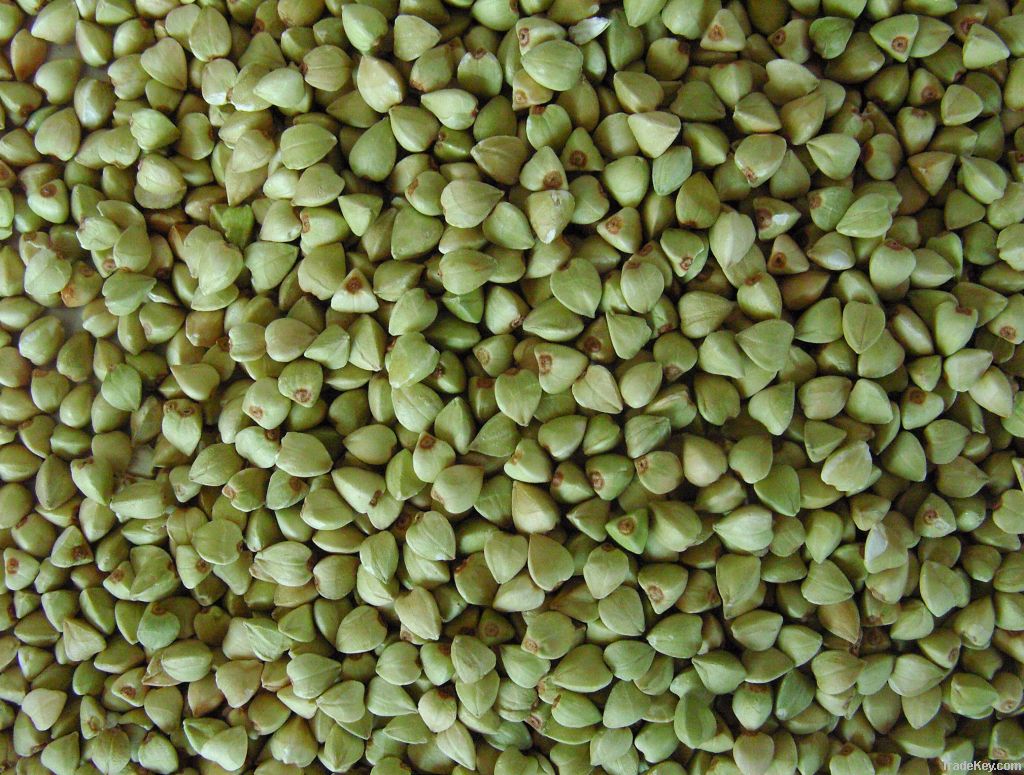 Hulled Buckwheat