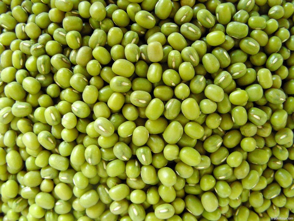 Mung Beans