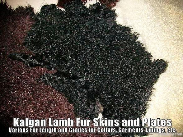 Kalgan Lamb Fur Skins and Plates